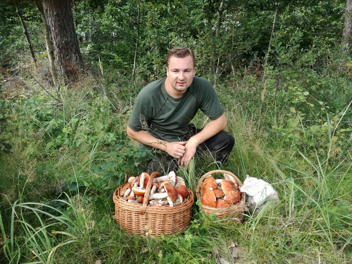 Spring Foraging for Beginners: 8 Safe Wild Greens and Berries to Identify